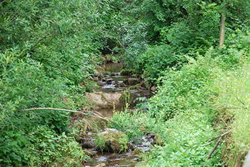 Freiamt im südlichen Schwarzwald