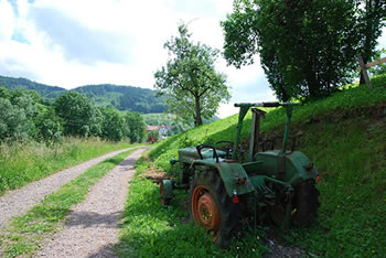 Freiamt im südlichen Schwarzwald