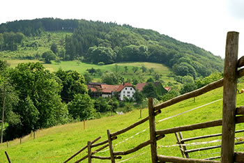 Freiamt im südlichen Schwarzwald