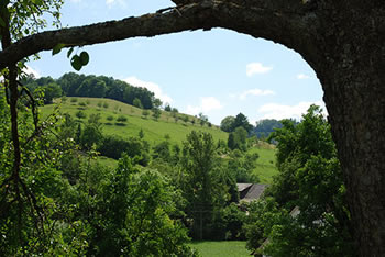 Freiamt im südlichen Schwarzwald