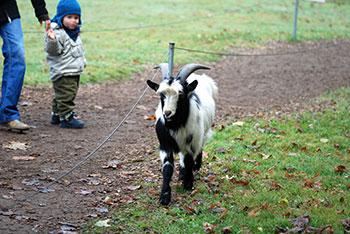  Tiergehege -  Mundenhof in Freiburg im Breisgau