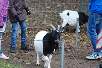  Tiergehege -  Mundenhof in Freiburg im Breisgau