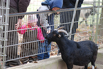  Tiergehege -  Mundenhof in Freiburg im Breisgau