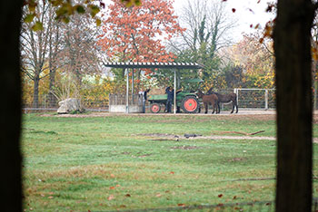  Tiergehege -  Mundenhof in Freiburg im Breisgau