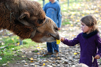  Tiergehege -  Mundenhof in Freiburg im Breisgau