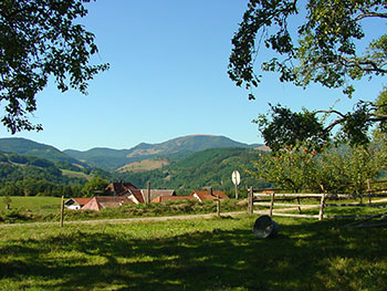 Frönd im Wiesental