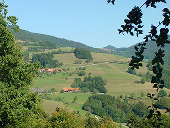 Frönd im Wiesental