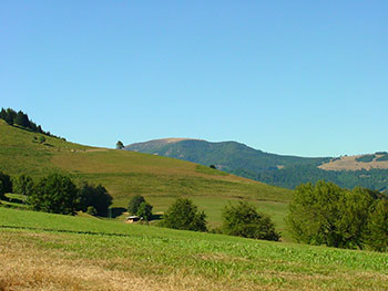 Frönd im Wiesental