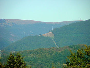 Frönd im Wiesental