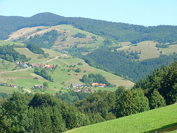 Frönd im Wiesental