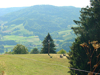 Frönd im Wiesental