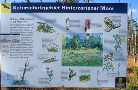 Hinterzartener Moor