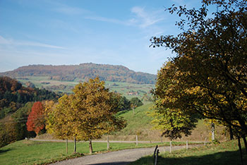 Horben im Breisgau-Hochschwarzwald