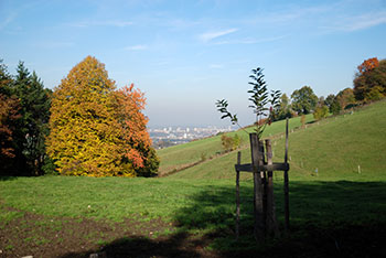 Horben im Breisgau-Hochschwarzwald