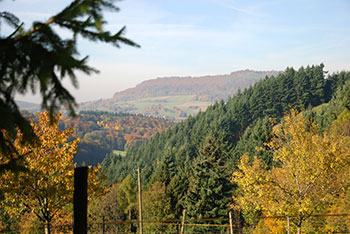 Horben im Breisgau-Hochschwarzwald