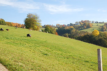 Horben im Breisgau-Hochschwarzwald