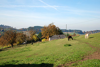 Horben im Breisgau-Hochschwarzwald