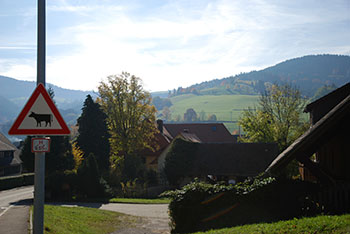 Horben im Breisgau-Hochschwarzwald