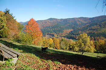 Horben im Breisgau-Hochschwarzwald