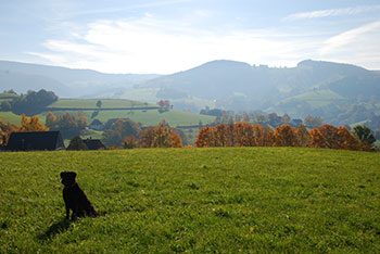 Horben im Breisgau-Hochschwarzwald