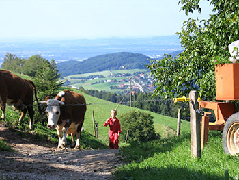 Horben Eduardshöhe