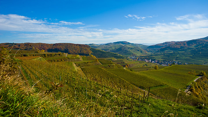 Ihringen am Kaiserstuhl