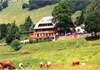 Wander und Feinschmecker Hotel Bergblick Bernau Südlicher Schwarzwald