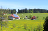 Ferienwohnungen  im Ferienbauernhof Breitnau Schwarzwald