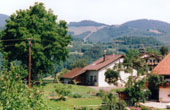 Ferienwohnung Haus Rümmele Fröhnd Schwarzwald