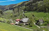 Vorderhof - Bauernhofurlaub in Haslach Schwarzwald