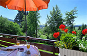 Ferienwohnung Haus Fernblick Lenzkirch Schwarzwald