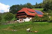 Schulersberghof - Urlaub auf dem Bauernhof im Schwarzwald Kinzigtal