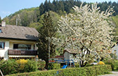Ferienhaus Belchenherz Münstertal Schwarzwald