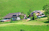 Breitnauhof Schneider Ferienwohnungen auf dem Bauernhof
