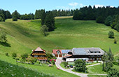 Ferienwohnungen Bauernhof Gipfhof Münstertal Schwarzwald