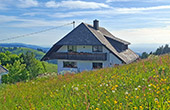 Ferienwohnung Haldenhof Stohren Schauinsland Schwarzwald