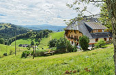 Urlaub auf dem Bauernhof Krummholz Münstertal Stohren