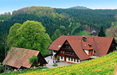 Ferien auf dem Bauernhof mit Halbpension im Schwarzwald