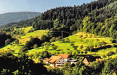 Ferienbauernhof Langenhof Oppenau Schwarzwald