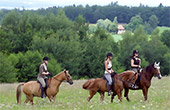 Kempfenhof - Bauernhofurlaub im Schwarzwald