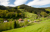 Bauernhofurlaub auf dem Schingerhof im Simonswäldertal / Simonswald