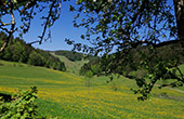 Ferienwohnung im Bauernhof Mooshof Sankt Märgen Schwarzwald