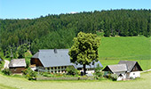 Ferienwohnung im Steinbachhäusle Sankt Märgen Schwarzwald