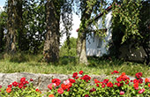 Ferienwohnung Hinterm Schloss Staufen