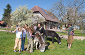 Urlaub auf dem Bauernhof: Oberjosenhof Tennenrbonn Schwarzwald