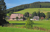 Ferien auf dem Bauernhof in Titisee Schwarzwald