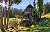 Bauernhofurlaub auf dem Schingerhof im Simonswäldertal / Unterkirnach