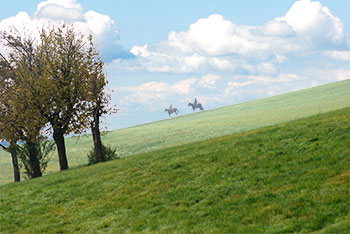 Merzhausen und Au bei Freiburg im Breisgau