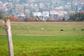 Merzhausen bei Freiburg im Breisgau