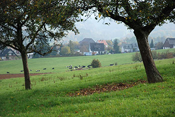 Merzhausen und Au bei Freiburg im Breisgau